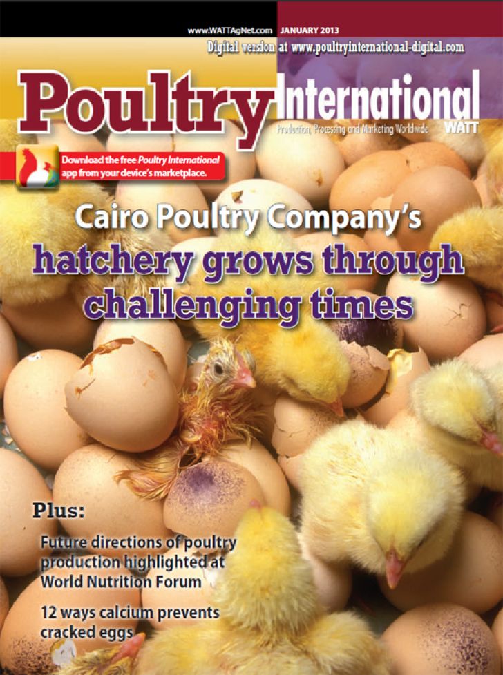 Poultry International - January - 2013
