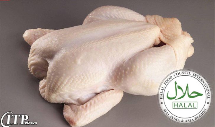 صادرات مرغ ایرانی به عمان با برند 