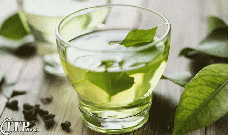استفاده از چای سبز به عنوان مکمل خوراک طیور 