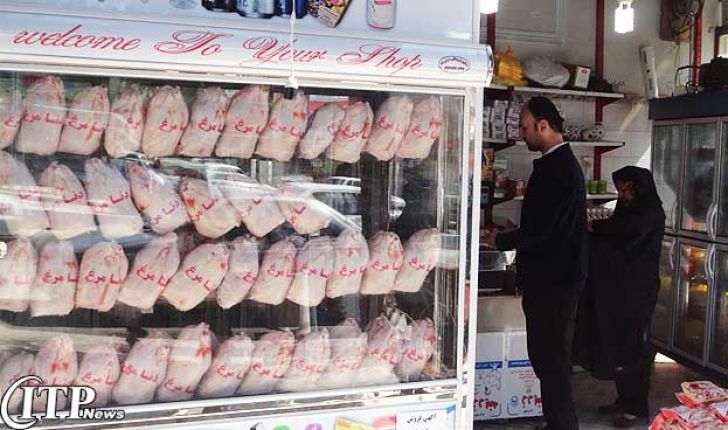 قیمت گوشت مرغ در سرازیری