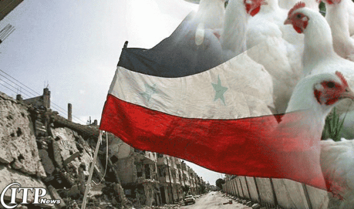 تولیدات کشاورزی و مرغداری سوریه به نصف کاهش یافته !