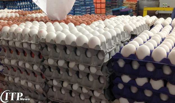 آغاز دوباره صادرات تخم‌مرغ تا پایان هفته