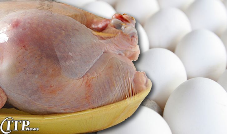 محدودیتی در صادرات تخم‌مرغ و مرغ نداریم
