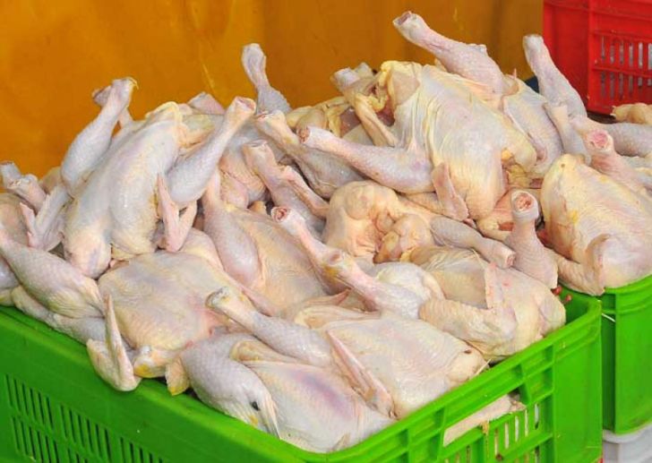 خرید تضمینی گوشت مرغ در استان زنجان