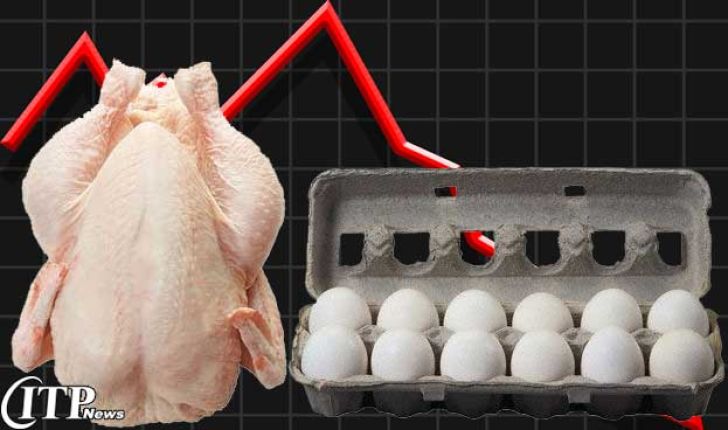 طبق گزارش بانک مرکزی؛ تخم مرغ گران و مرغ ارزان شد