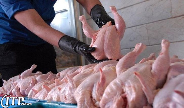 کاهش اندک قیمت مرغ در بازار 