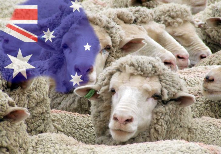 هدف گوشت استرالیایی در سال 2017 : بازار چین و عربستان