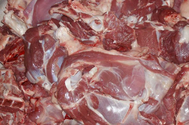 توزیع گوشت گرم گوسفندی در استان قزوین آغاز شد