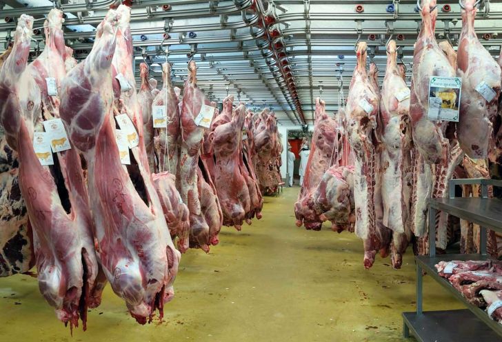 آغاز صادرات گوشت از آمریکا به برزیل