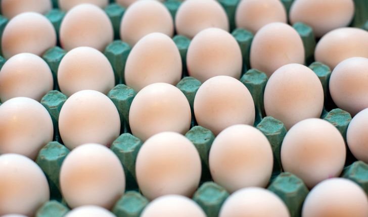 توزیع روزانه 300 تن تخم مرغ در بازار