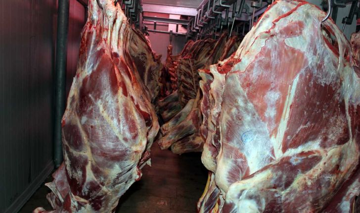 عرضه گوشت گرم به قیمت 33 هزار تومان در قم