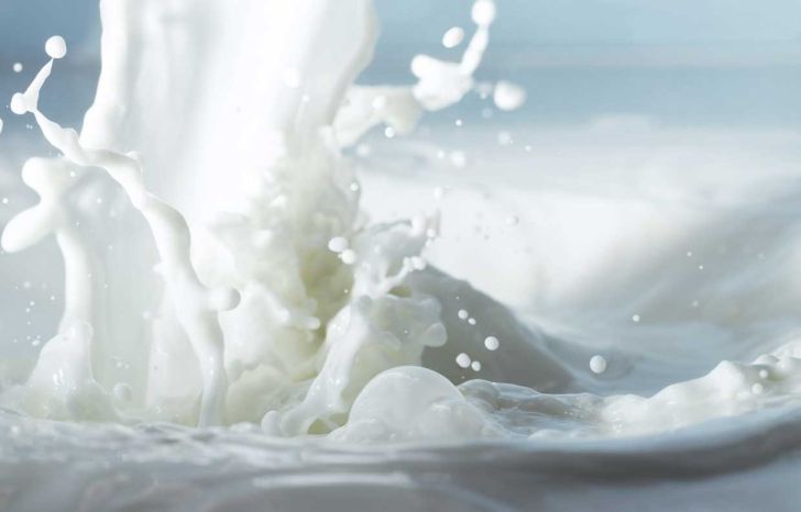 ادعای افزایش قیمت شیر بهانه‌‌ای برای واردات شیرخشک 