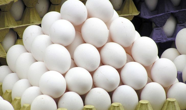  تعرفه واردات تخم مرغ پنج درصد تعیین شد
