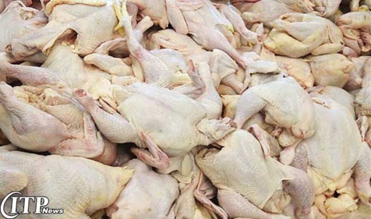 کاهش تولید مرغ گوشتی در راستای تنظیم بازار