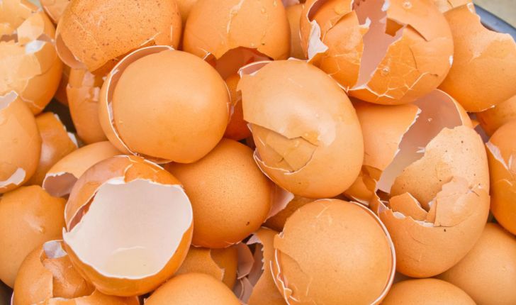 ترکیبات و کاربردهای جدید پوسته تخم مرغ