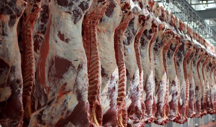 تاثیر نوسانات نرخ ارز بر میزان واردات گوشت