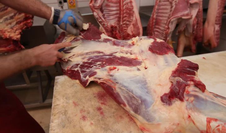 صادرات بهانه دلالان برای گرانی مجدد گوشت 
