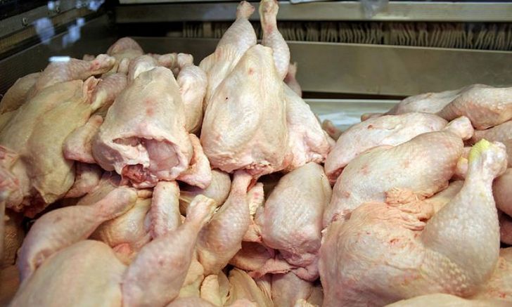 فروش مرغ منجمد به جای کشتار روز صحت ندارد
