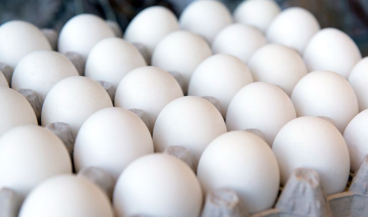 توزیع تخم مرغ ارزان قیمت در بازار