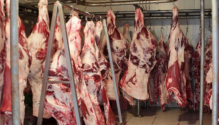  90 درصد گوشت قرمز مورد نیاز کشور در داخل تولید می شود