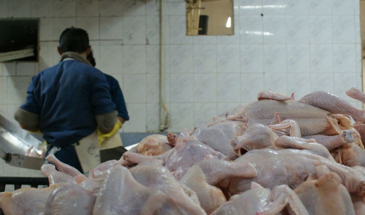 افزایش قیمت مرغ در بازار 