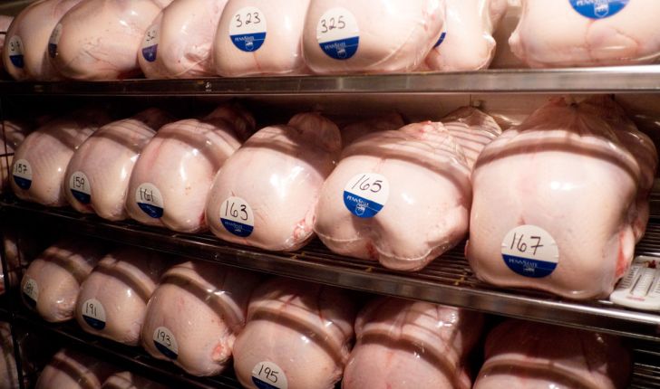 تولیدات واحدهای مرغ گوشتی اردبیل به عراق صادر می‌شود