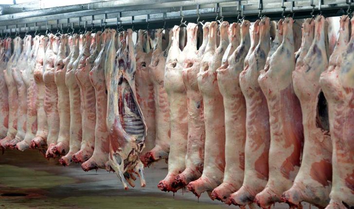 نیوزیلند صادرات گوشت به ایران را از سر می گیرد