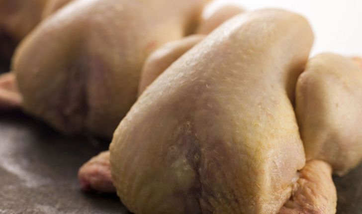 مذاکره برای صادرات مرغ به کشورهای حاشیه خلیج فارس
