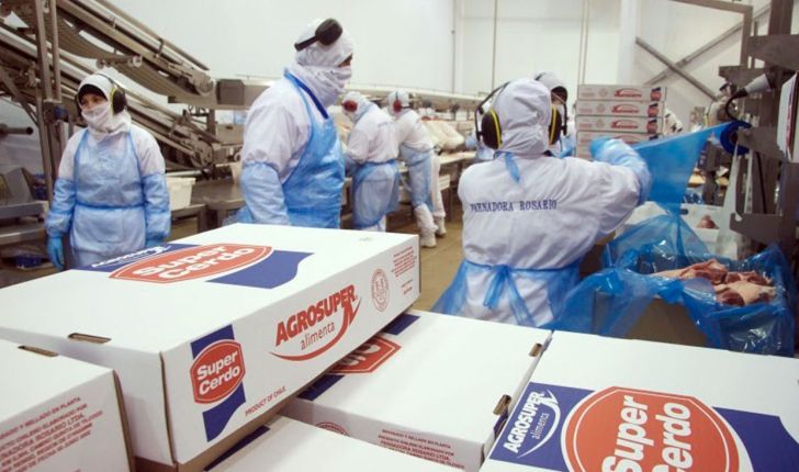 قیمت انواع گوشت یخ زده صادراتی برزیل و اتحادیه اروپا 