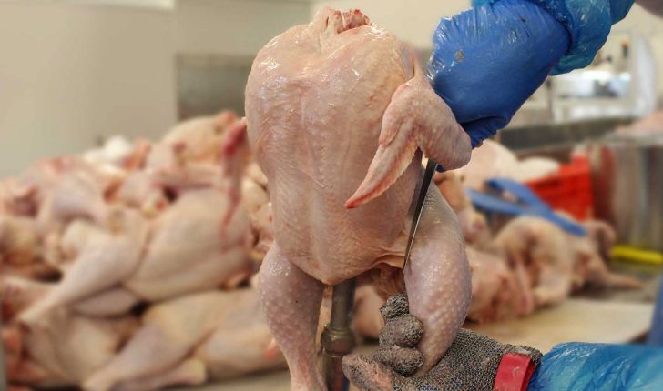 گوشت مرغ به میزان مصرف مردم ذخیره شده است