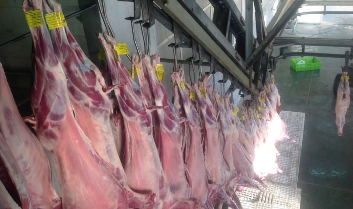 افزایش قیمت گوشت گوسفندی ربطی به صادرات ندارد