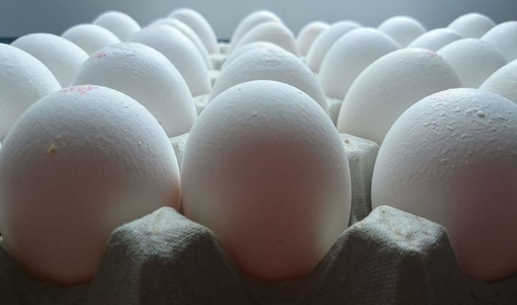 تخم مرغ به دلیل کاهش تقاضا ارزان شد/ صادرات تخم مرغ صفر شد