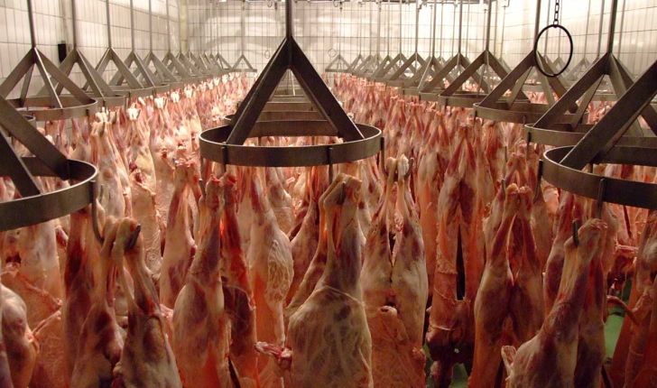 صادرات ۶۶ تن گوشت به قطر طی دو روز اخیر