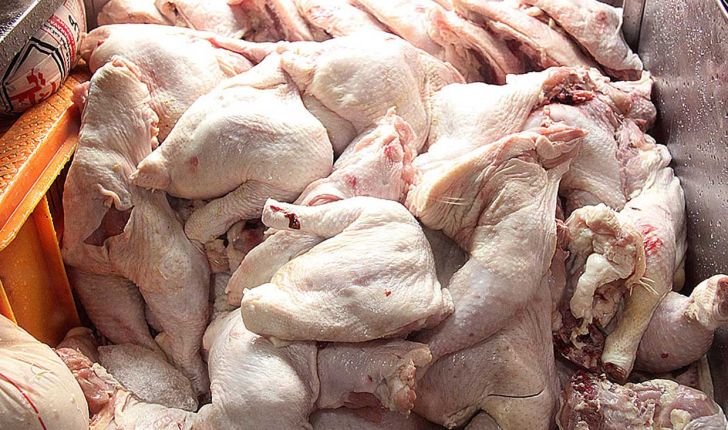 قیمت‌گذاری دستوری دولت بر روی مرغ قابل قبول نیست