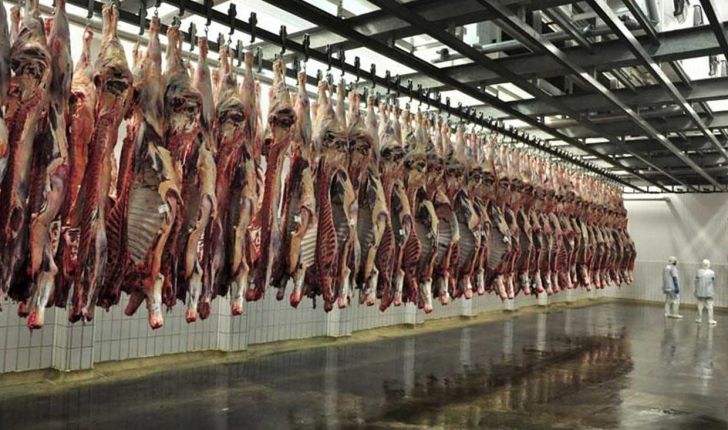  تشکیل 3 زنجیره تولید و عرضه گوشت قرمز در تهران