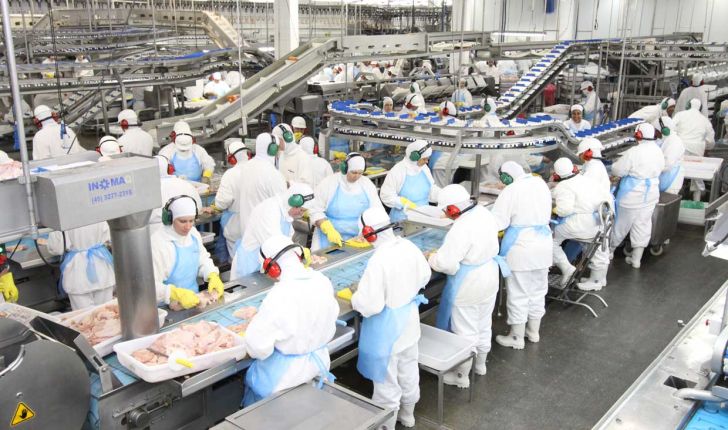 10 مصرف کننده بزرگ گوشت مرغ در آمریکای لاتین