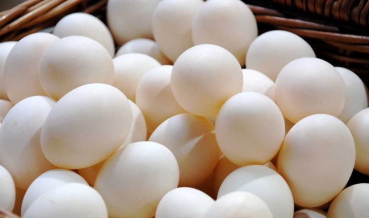 صادرات یک سوم تخم مرغ تولیدی خراسان رضوی