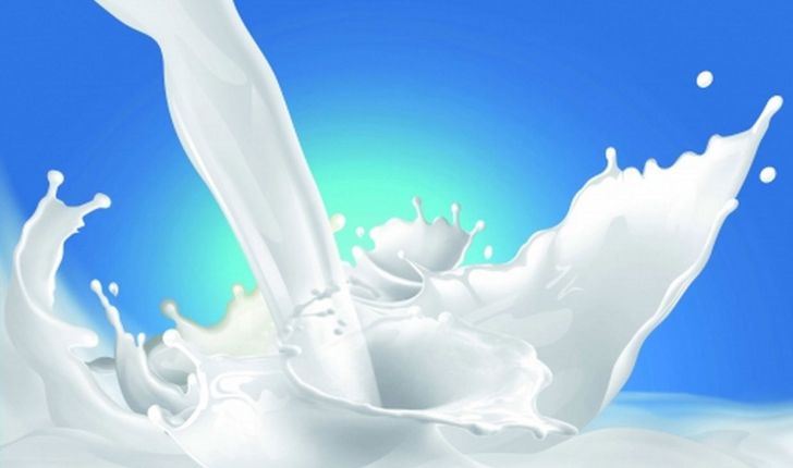 افزایش تولید شیر از طریق آنزیم هایی با فیبر کاهش یافته