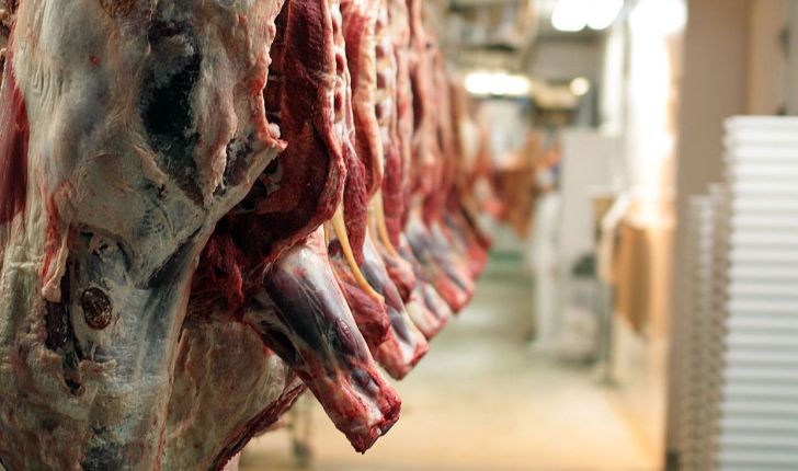 توزیع روزانه ۳۰ تن گوشت گوسفندی  در ۴۰۰ نقطه تهران