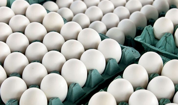  قیمت تخم مرغ در بازار کاهش یافت