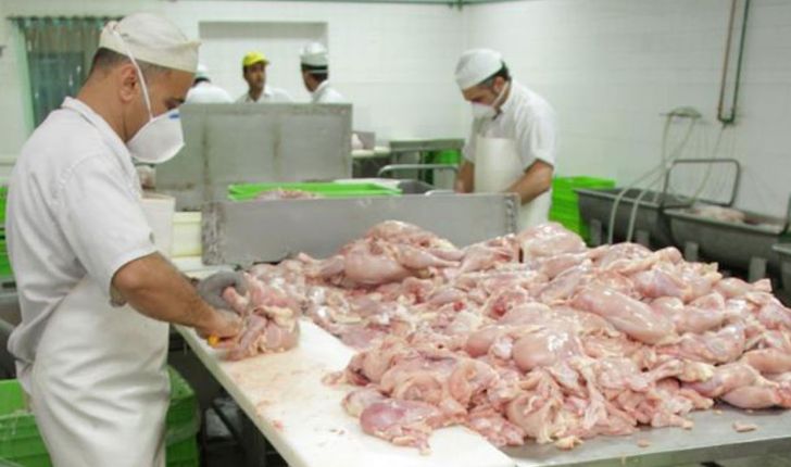 ذخیره سازی ۴۰۰تن گوشت مرغ برای ایام محرم