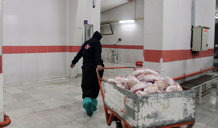 ذخیره سازی مرغ و گوشت مورد نیاز بازار شب عید در کهگیلویه و بویراحمد