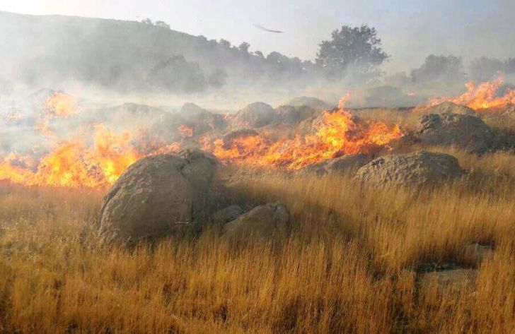 بی احتیاطی دامداران از مهمترین دلایل وقوع آتش سوزی در مراتع است