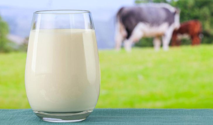 ۱۰درصد تولید شیر داخلی به کشورهای منطقه صادر می شود
