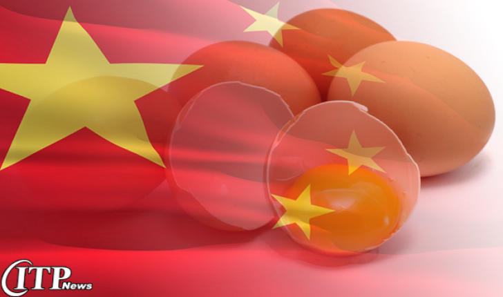  وضعیت تولید تخم مرغ در چین