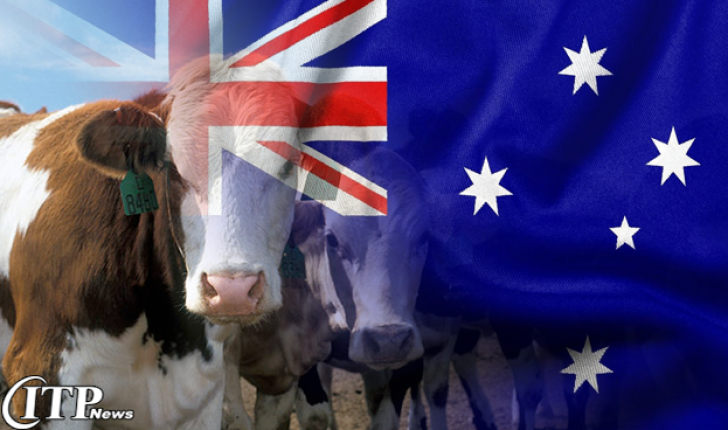 آیندۀ نوید بخش برای صنعت گوشت گاو استرالیا
