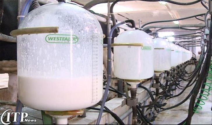 پایین بودن قیمت و حذف یارانه شیر عامل تعطیلی واحد های تولید شیر