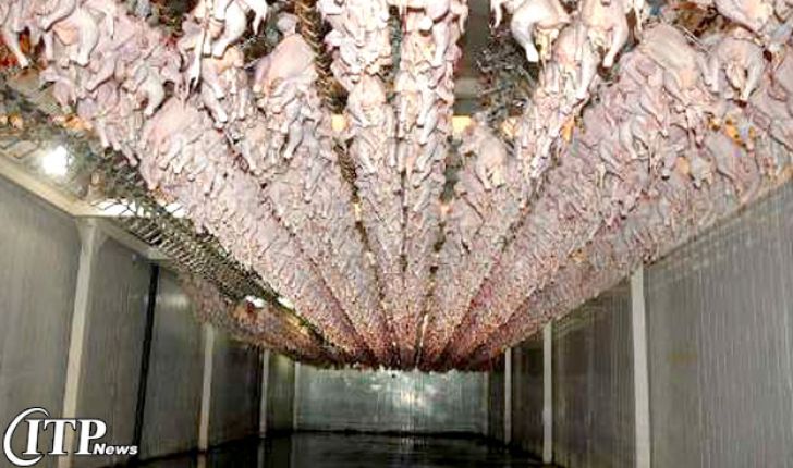 ذخیره‌سازی 1250 تن مرغ و گوشت قرمز در خوزستان